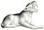 sabre-toothed cat